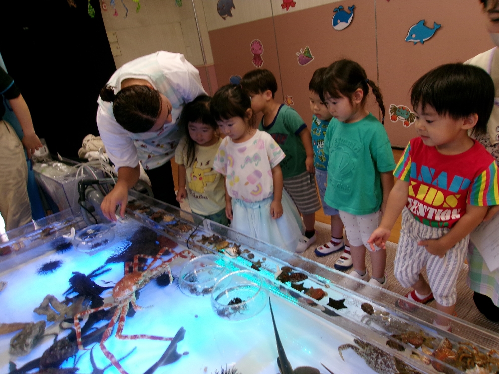移動水族館「タッチングプール」が遊びに来てくれました！