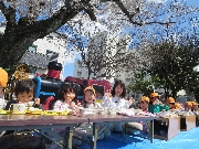 お花見会食をしました！